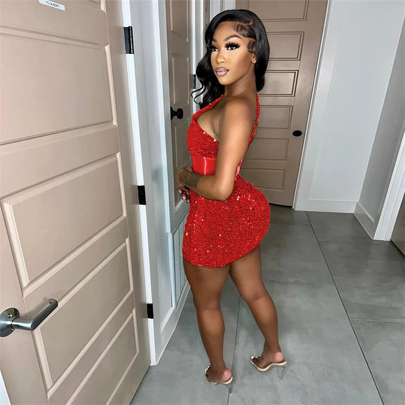 See Through Mesh Women Sexy Party Dress