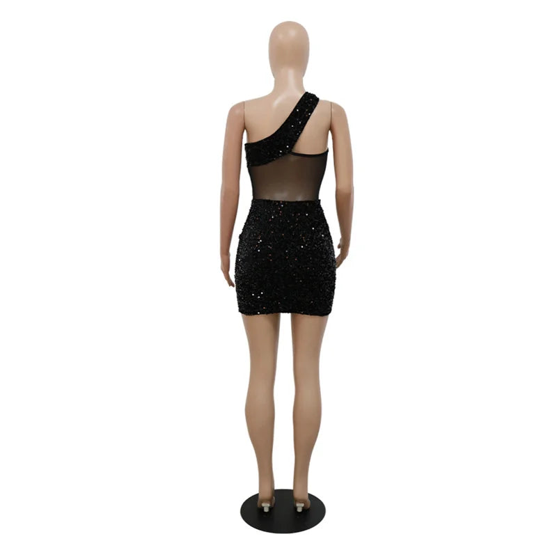 See Through Mesh Women Sexy Party Dress