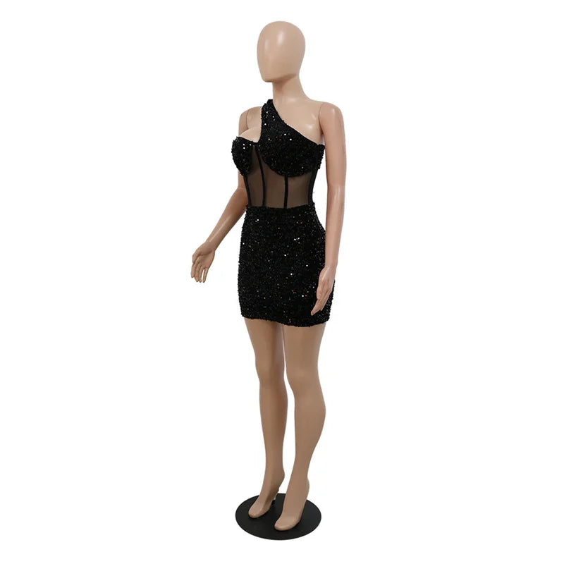 See Through Mesh Women Sexy Party Dress
